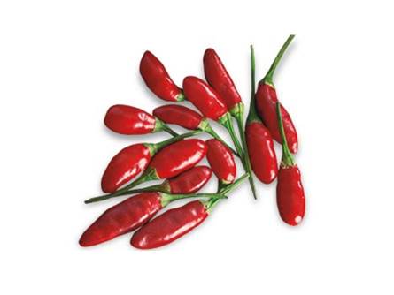  Peperoncino piccante Diavolicchio