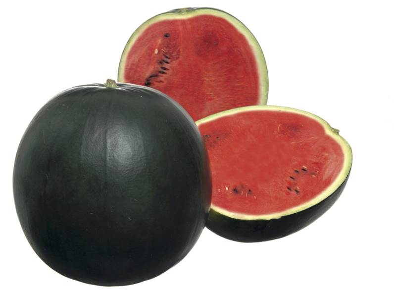 Caratteristiche dell'anguria nera