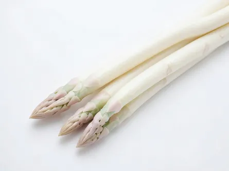 L'asparago bianco