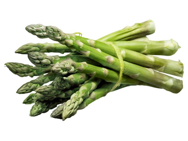 Coltivazione dell'asparago
