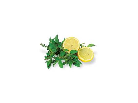 Il basilico limone 