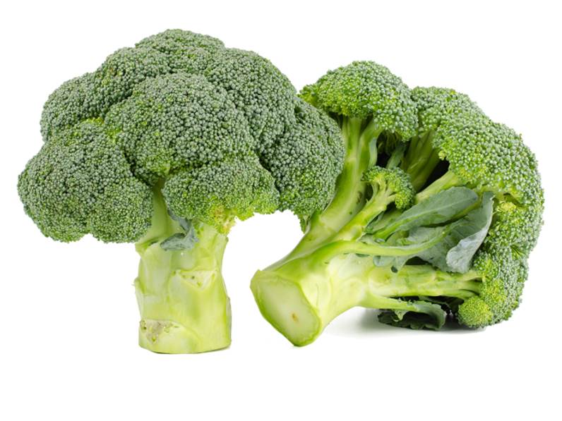 Coltivazione del broccolo calabrese
