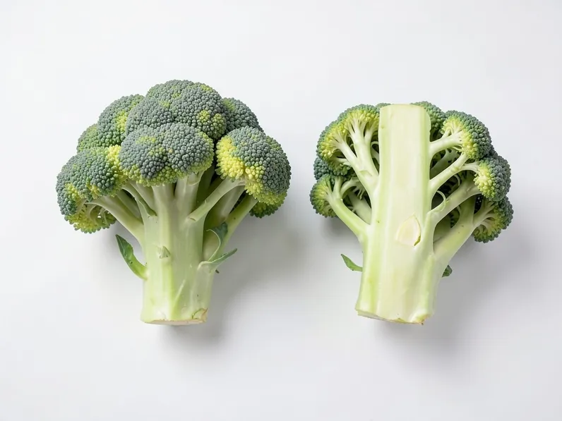 Coltivazione del broccolo calabrese