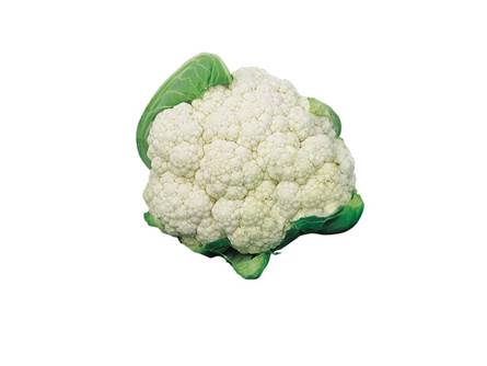 Il broccolo Verona tardivo 