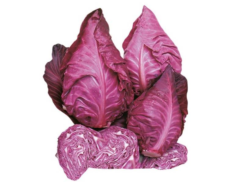 Caratteristiche del cappuccio rosso a punta