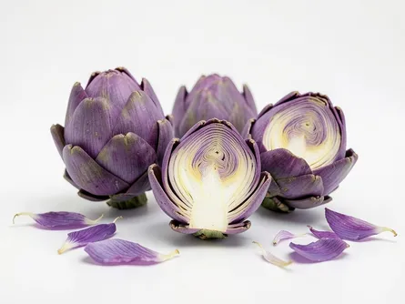Il carciofo violetto