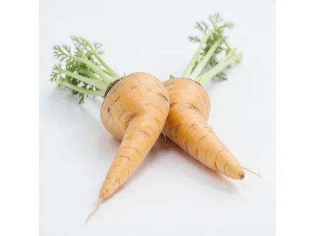 La carota gialla