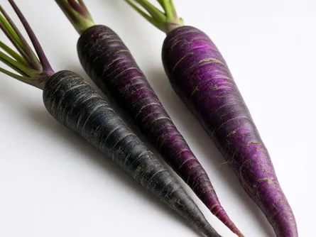 La carota viola