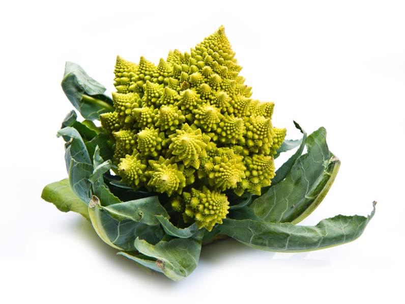 Coltivazione del cavolfiore romanesco