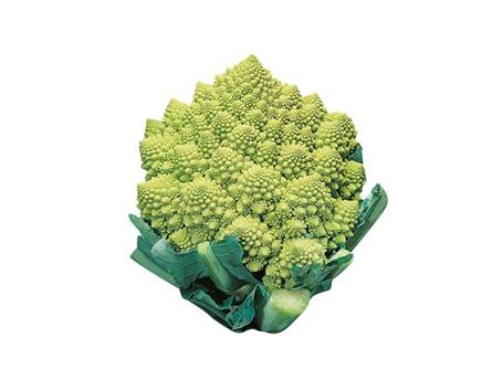 Il cavolfiore romanesco 