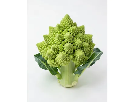 Il cavolfiore romanesco 