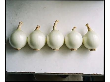 La cipolla bianca 