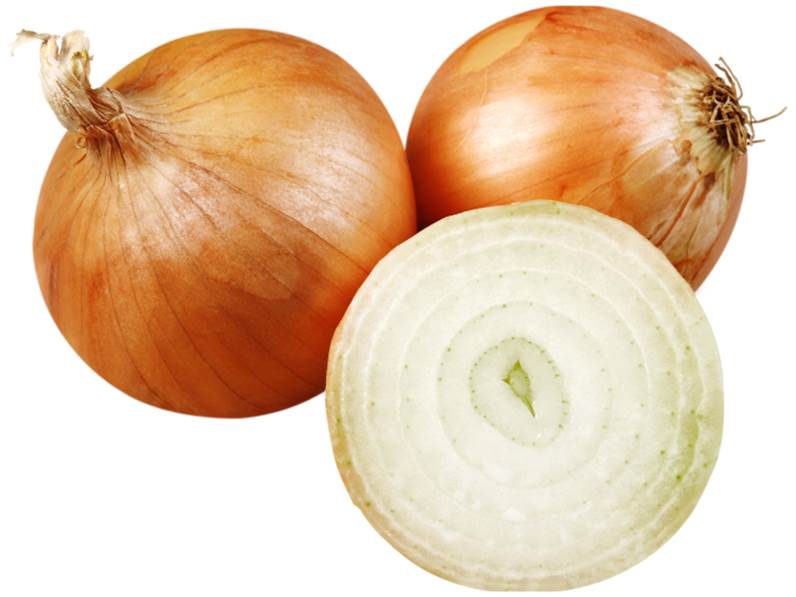 Coltivazione della cipolla dorata