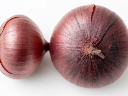 La cipolla rossa piatta