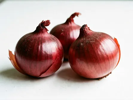 La cipolla rossa