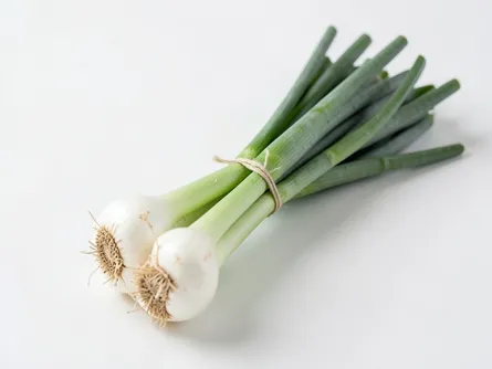 Il cipollotto bianco 