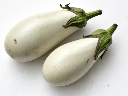 La melanzana bianca 