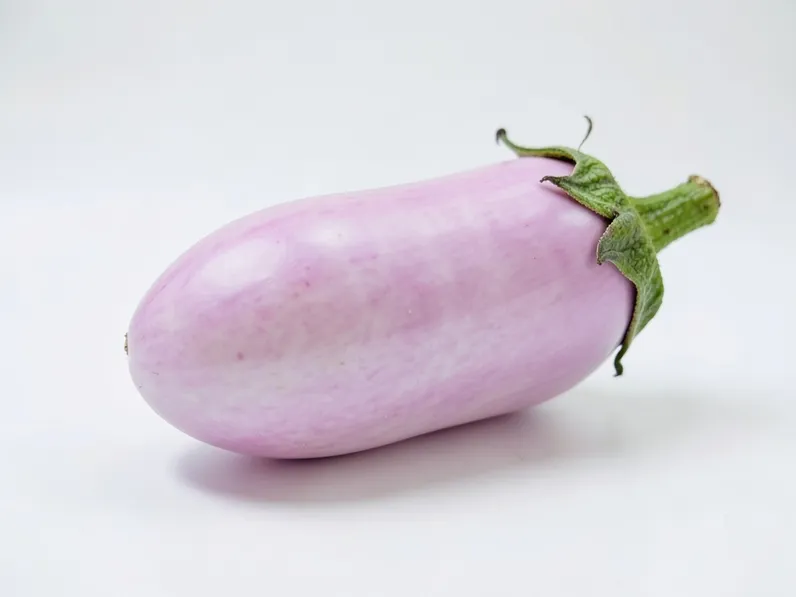 Coltivazione della melanzana rosa