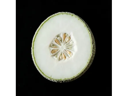 Il melone giallo 