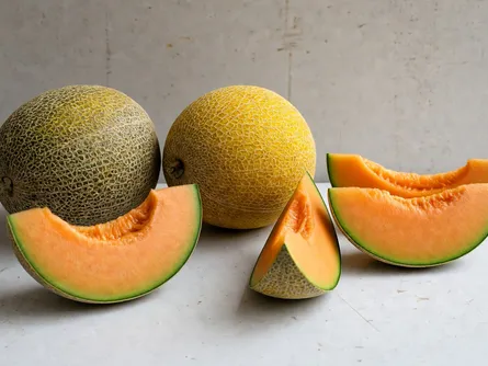 Il melone retato 