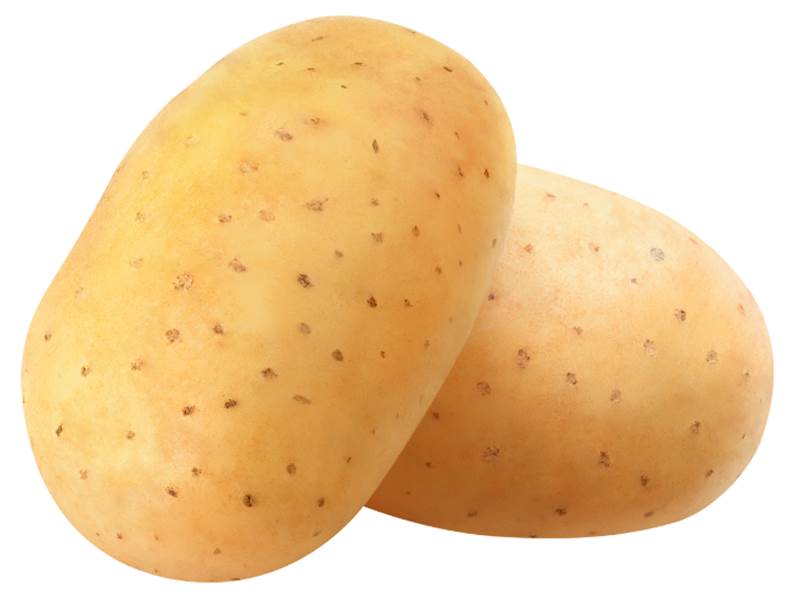 Caratteristiche della patata Agata 