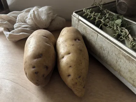 La patata Agata 