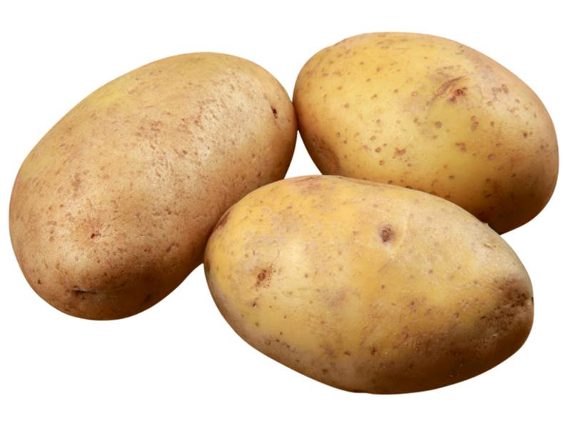 Coltivazione della patata