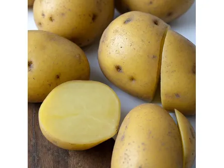 La patata