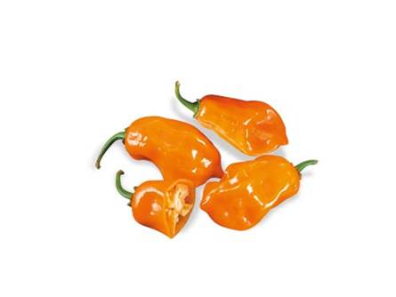 Peperoncino Aji Amarillo