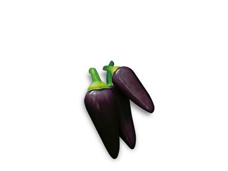 Il peperoncino Condor