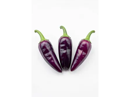 Il peperoncino Condor