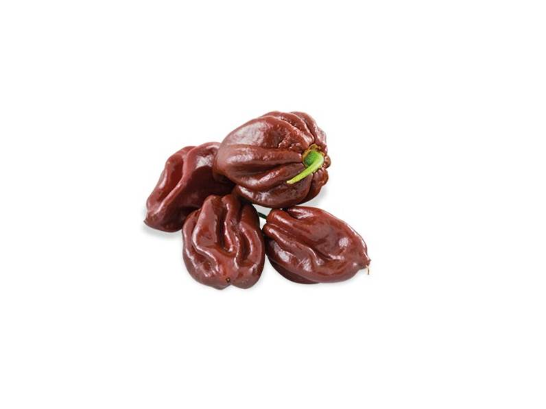 Peperoncino Habanero chocolate caratteristiche