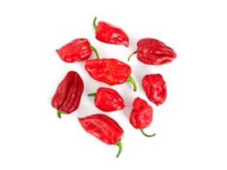 Il peperoncino habanero red 