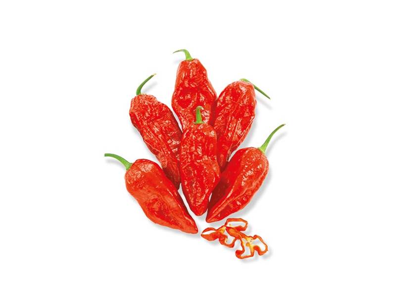 Peperoncino Naga Morich caratteristiche