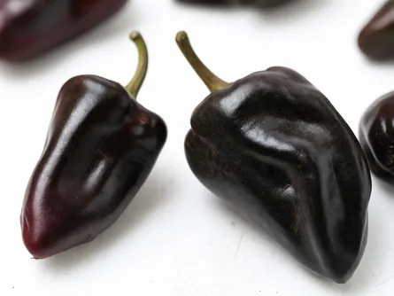 Il peperoncino nero