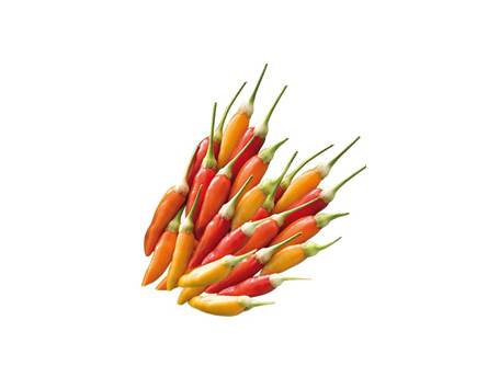 Il peperoncino Tabasco 