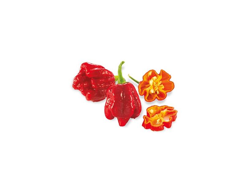 Peperoncino Trinidad Scorpion caratteristiche