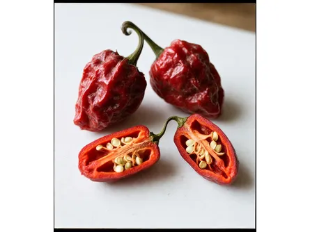 Il peperoncino Trinidad Scorpion 