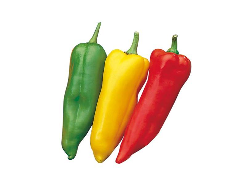 Caratteristiche del Peperone Corno Giallo
