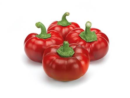 Il peperone rosso Topepo