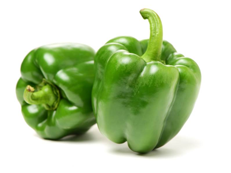Coltivazione del peperone verde teos 