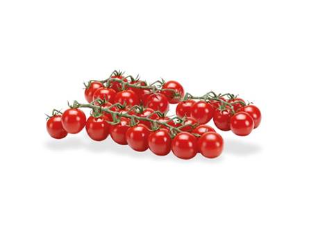 Pomodoro Bon Bon (innesto)