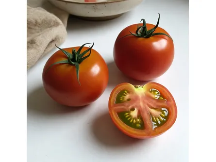 Il pomodoro camone