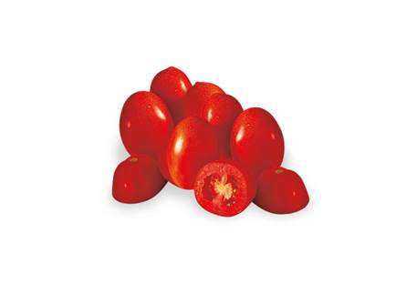 pomodoro cencara innestato
