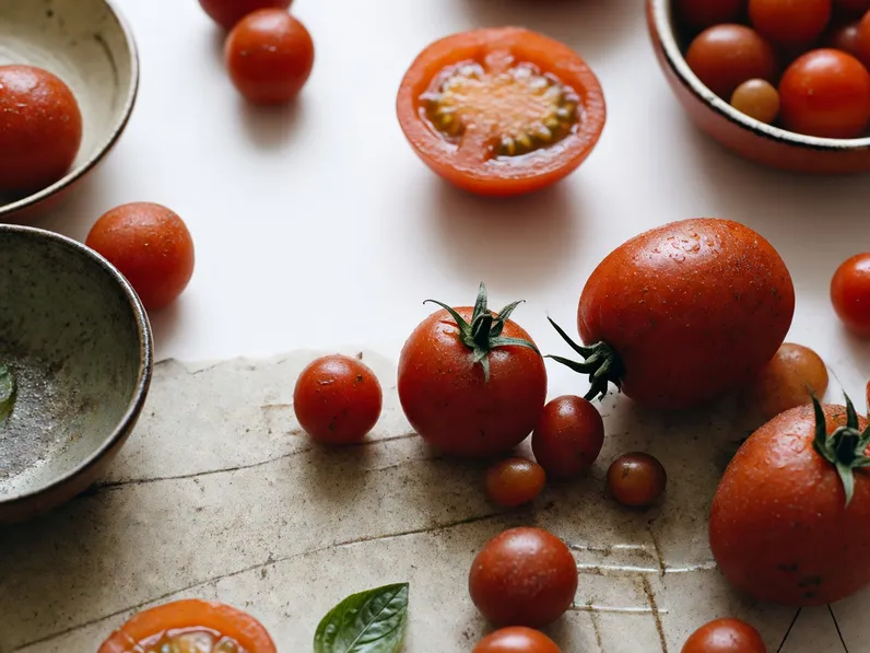 Coltivazione del pomodoro cencara