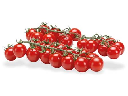 Il pomodoro ciliegia
