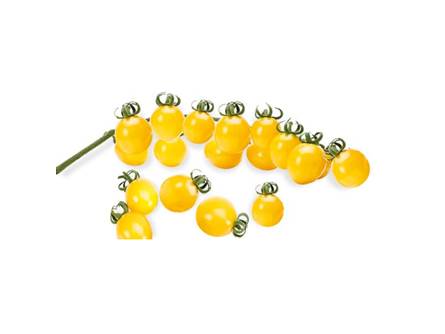 Pomodoro Ciliegino Giallo