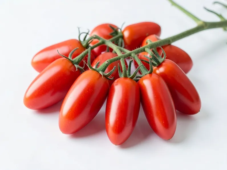 Coltivazione del pomodoro corno
