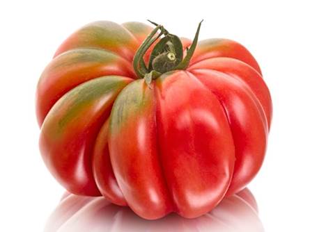 Il pomodoro costoluto