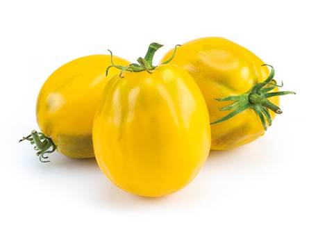 Il pomodoro cuore di bue giallo